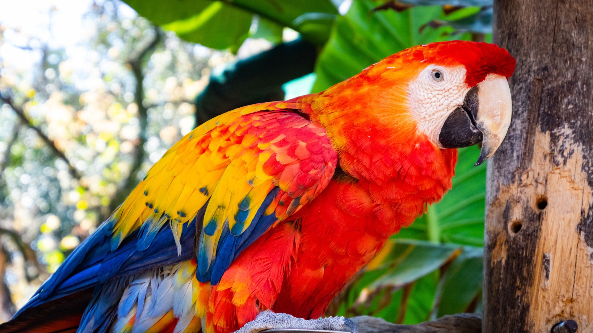 xr:d:DAFCWt1rZIs:25,j:39588345770,t:22103118